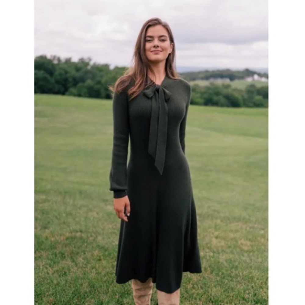 Gal Meets Glam Brianna Dress (Size S)